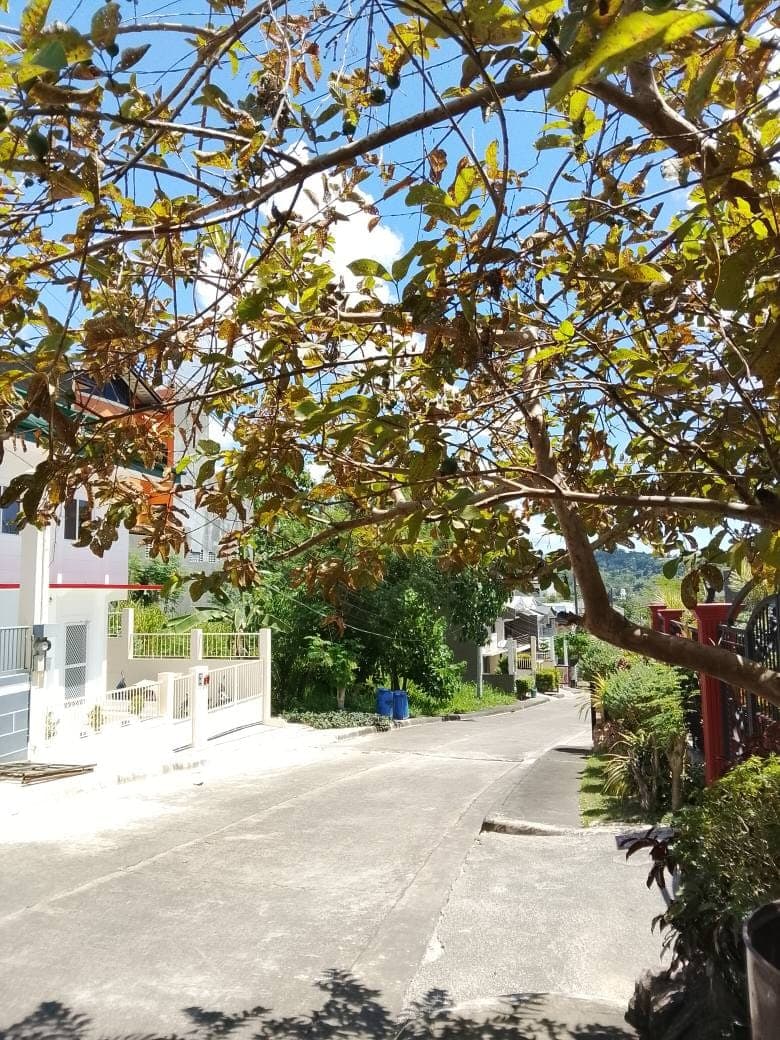 ‼️Available ‼️ - photo 20