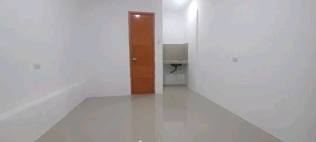 🏡 Newly Built 2 Unit Apartment - photo 1