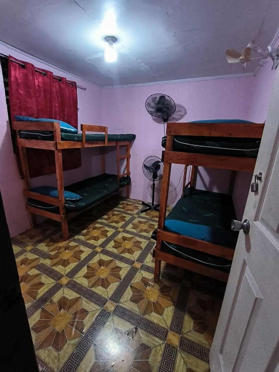 Room/Bed Space for Rent 🏠 - photo 1