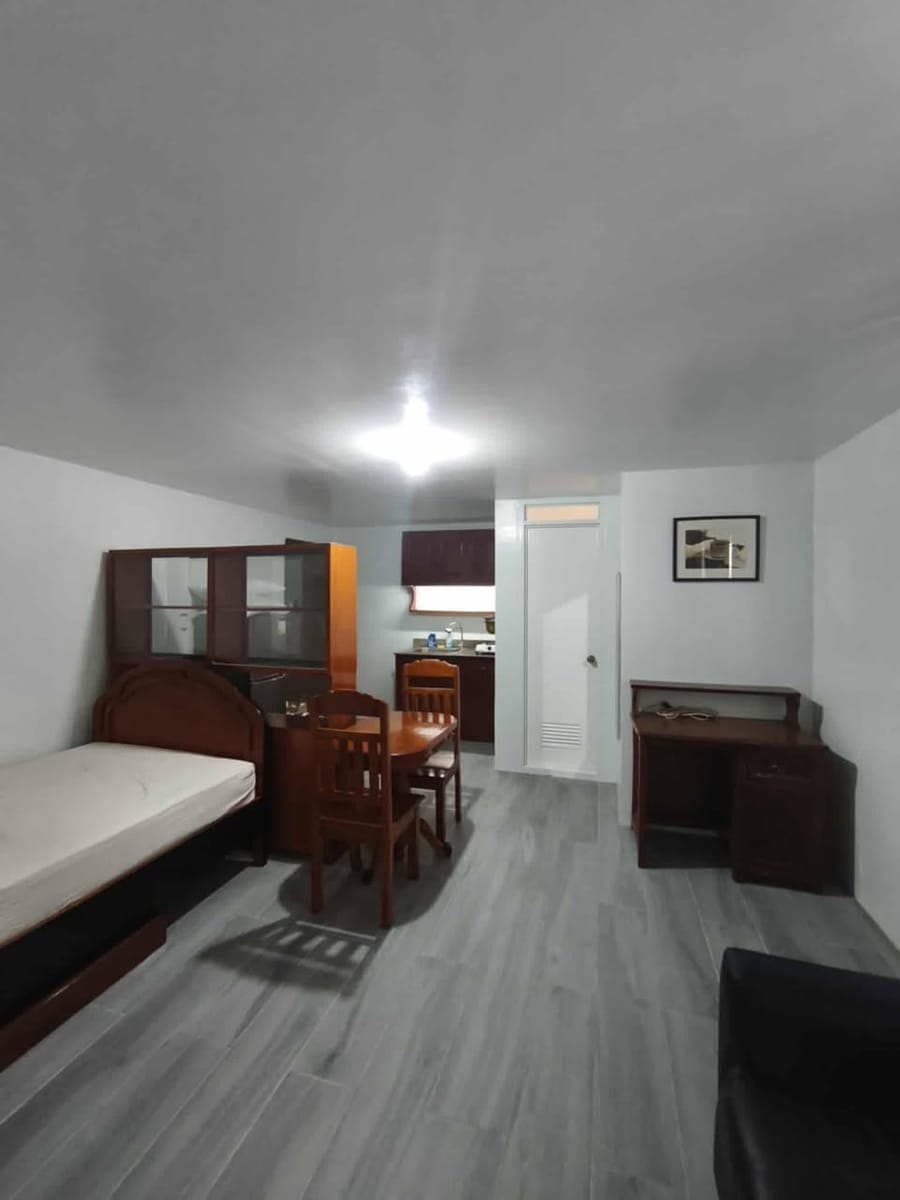 Fully furnished studio type condominium (newly renovated) with parking space for rent - photo 4