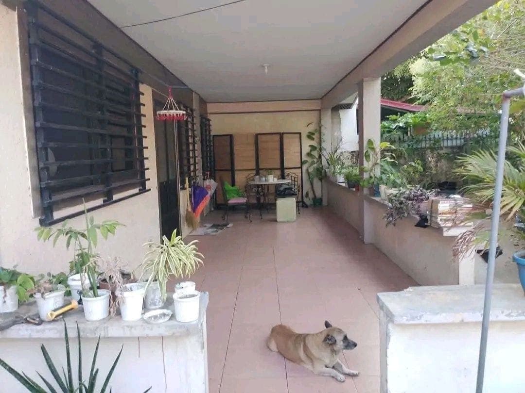 HOUSE  FOR SALE / RENT! - photo 1