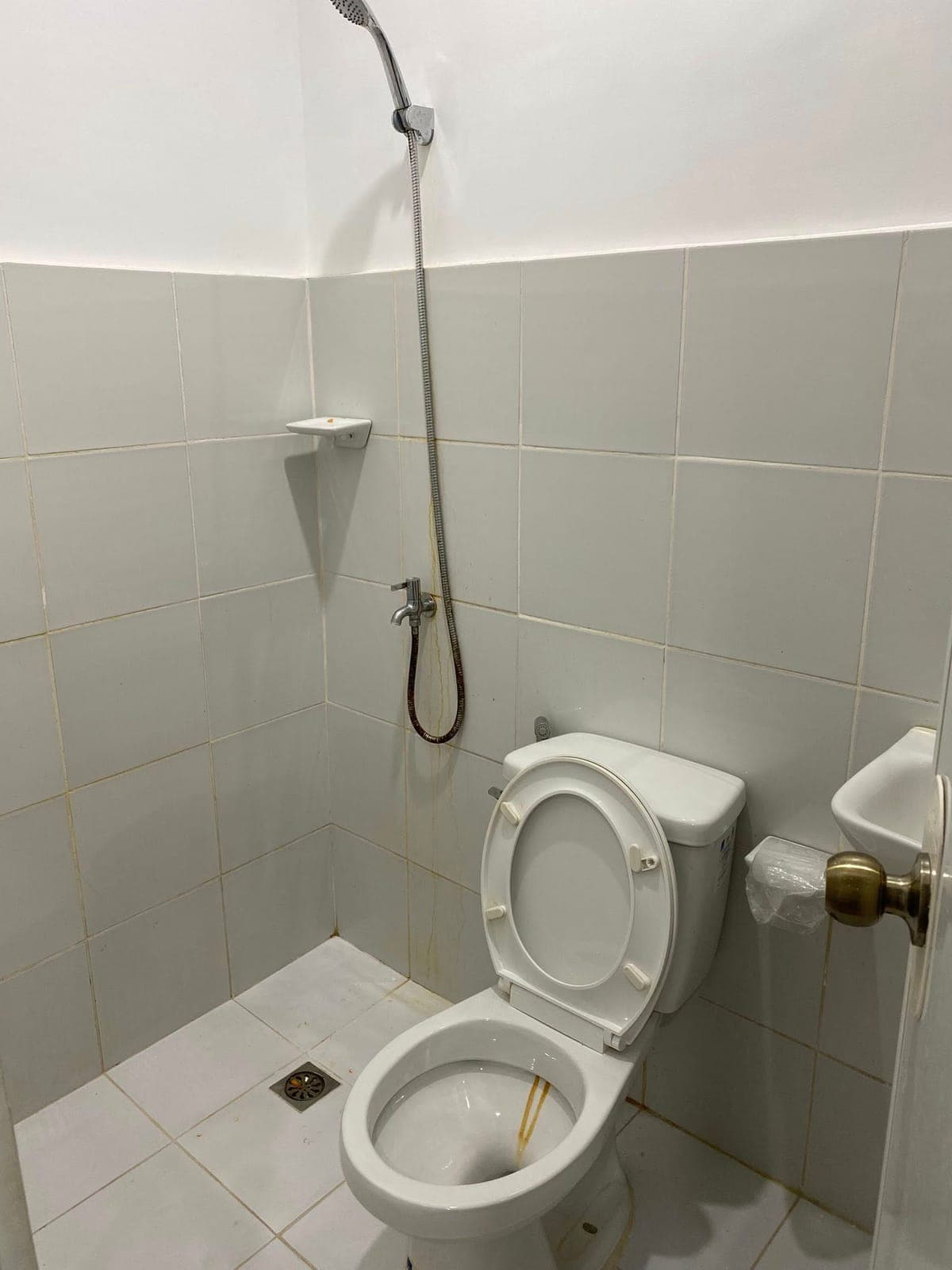 🏡 GRACELAND RESIDENCES – FOR RENT - photo 4