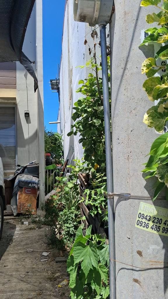 🏡 HOUSE  FOR  RENT - photo 4