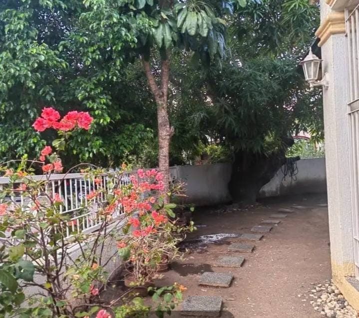 HOUSE FOR RENT IN BF HOMES - photo 3