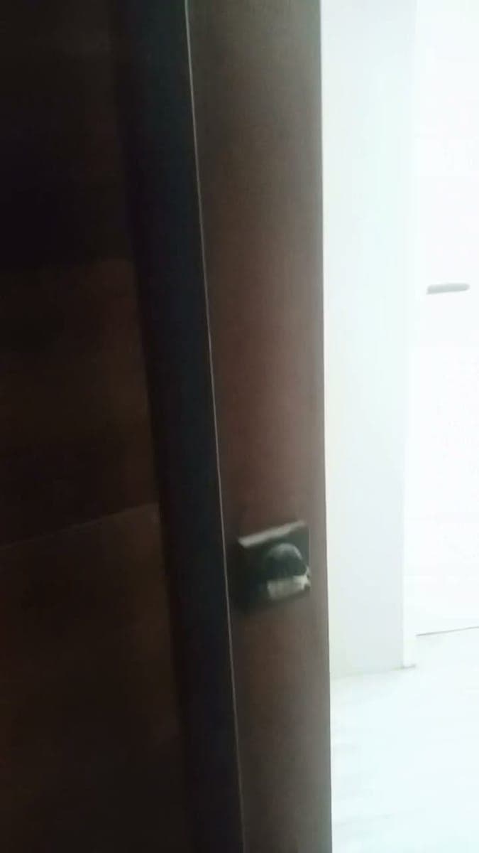 Apartment for Rent / new - photo 1