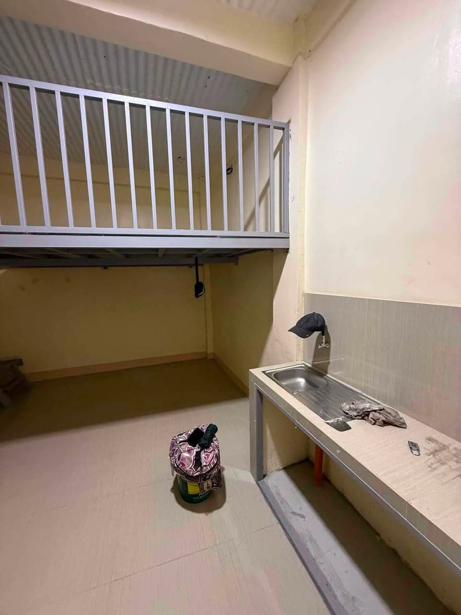 Ptpa - photo 2
