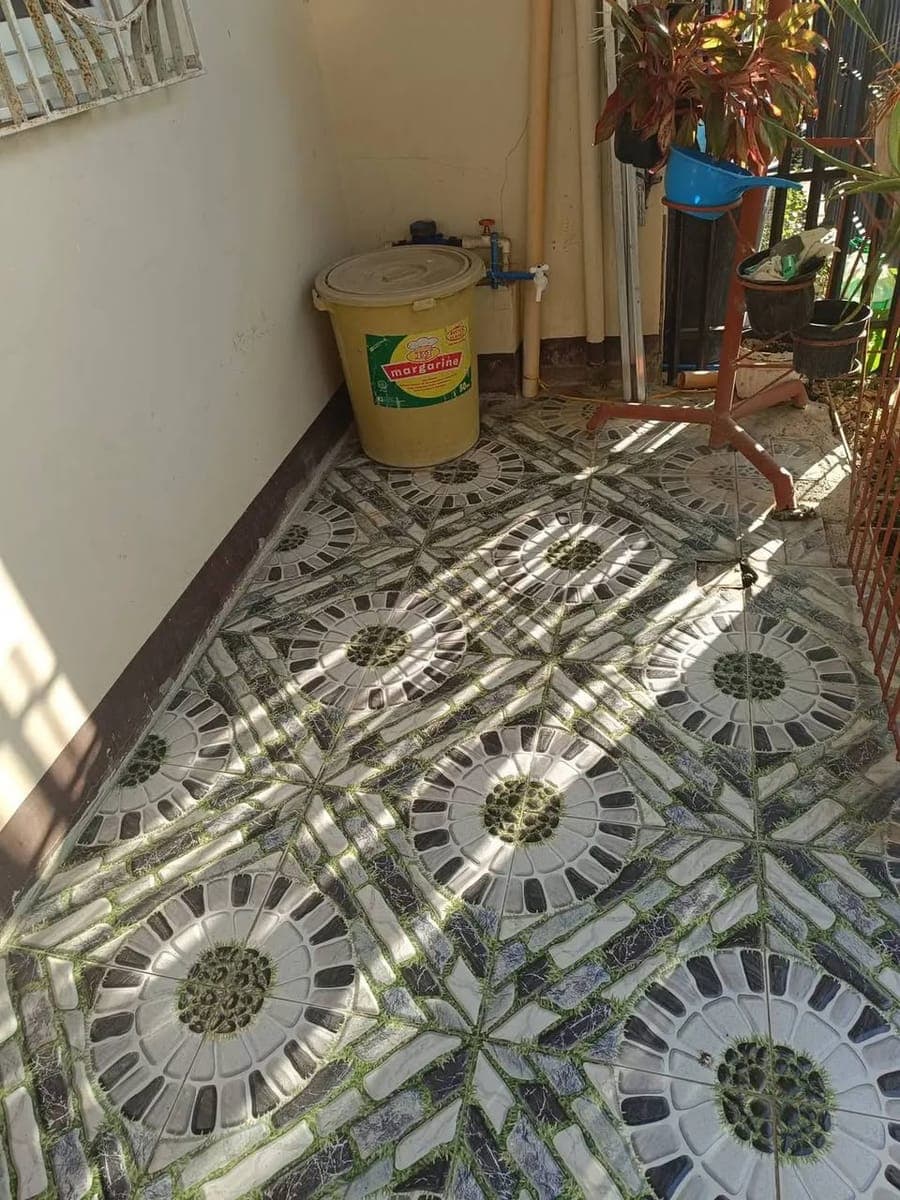 House for rent - photo 3