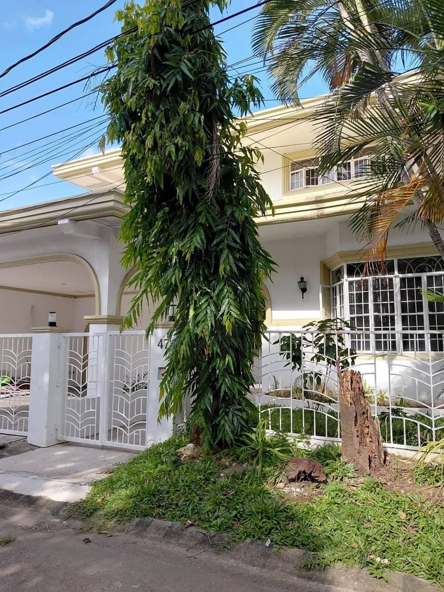 HOUSE FOR RENT IN BF HOMES - photo 1