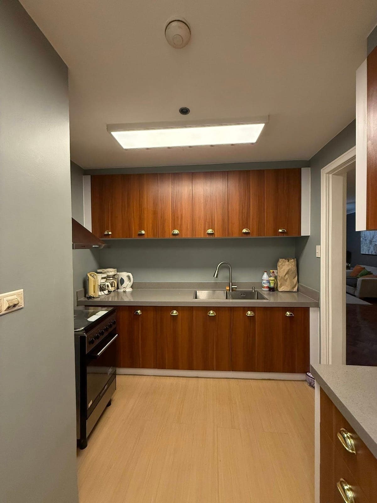 For Rent: 2bedroom Fully Furnished Galleria Regency Condominium - photo 4