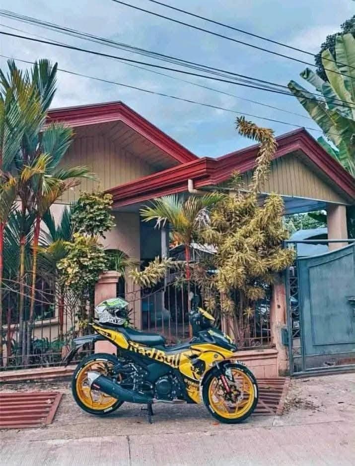 HOUSE FOR RENT !!!🏡 - photo 1