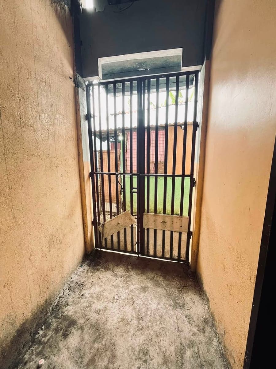 House for rent - photo 3