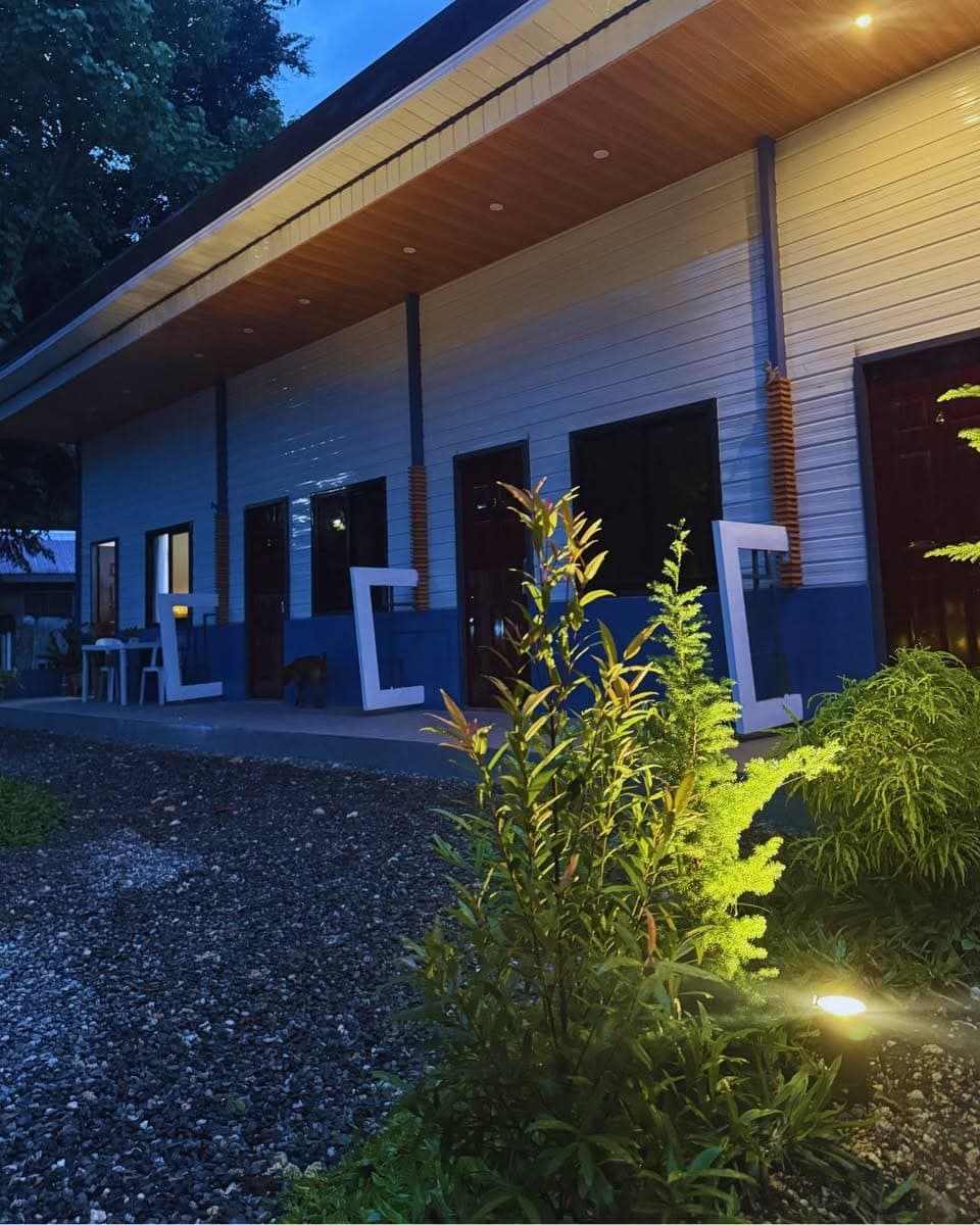 🏡 APARTMENT FOR RENT (BRAND NEW) - photo 2