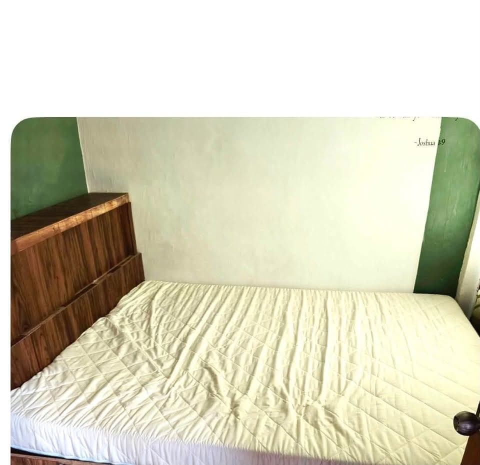House for rent - photo 2
