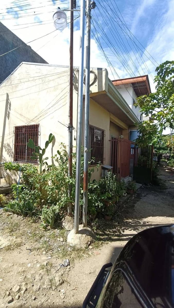 House for rent - photo 2