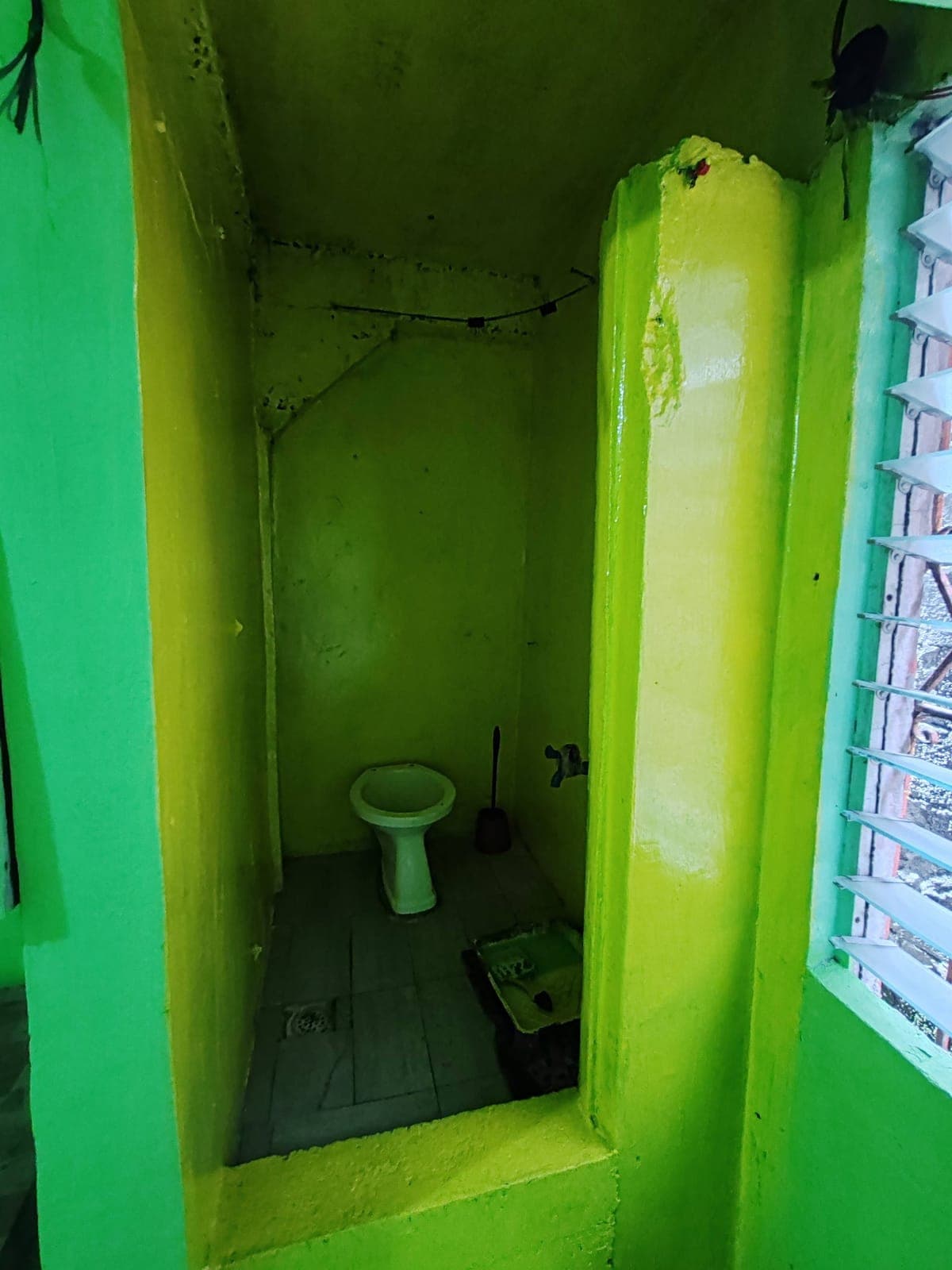 Studio type for rent - photo 2