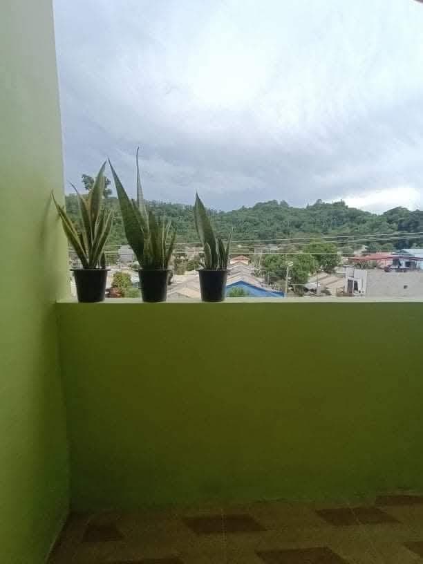 🌟 Affordable studio living with balcony—perfect for city dwellers! - photo 3