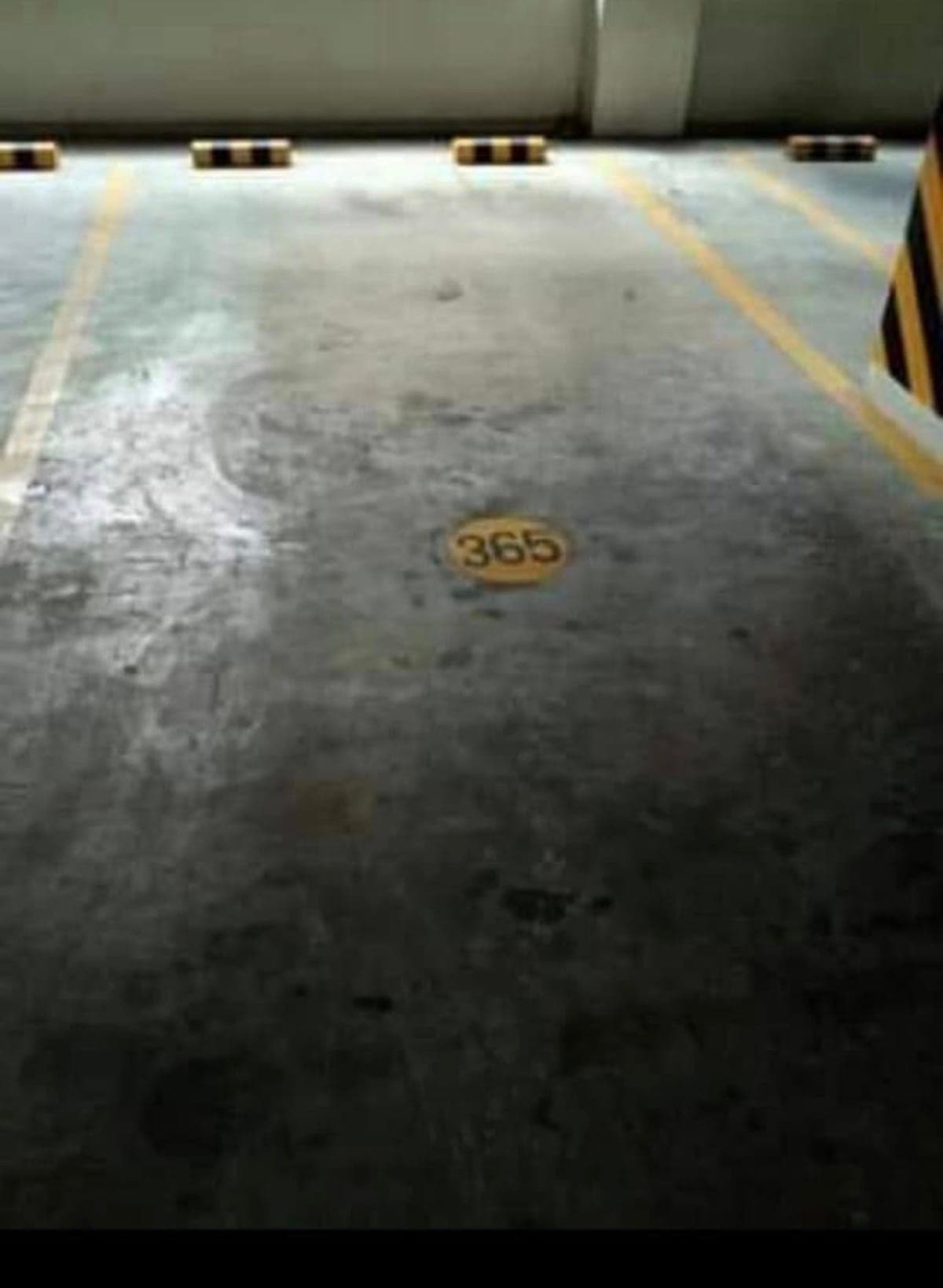 For Rent Zinnia Towers - photo 3