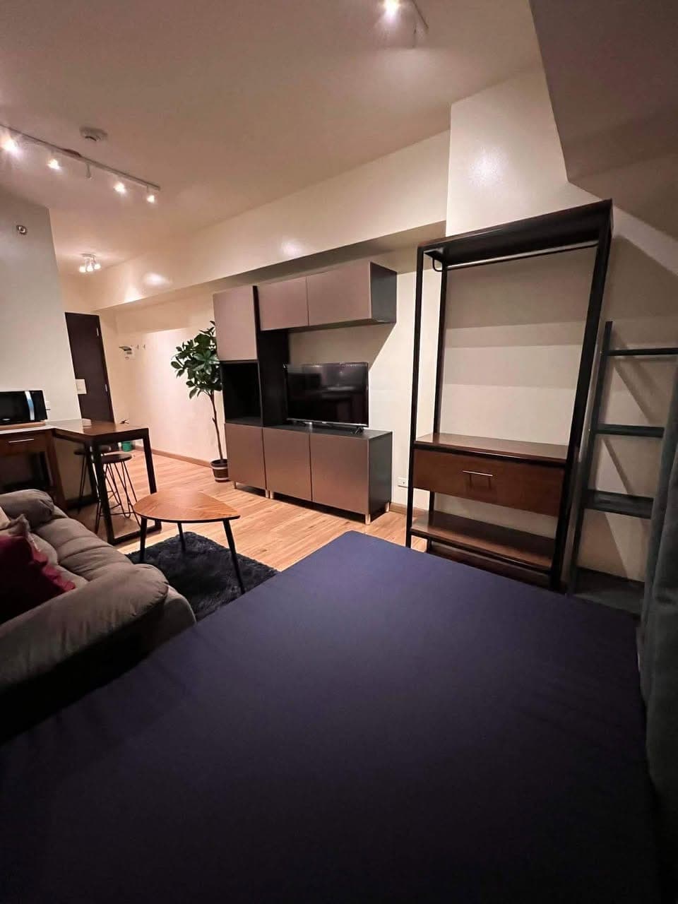 🔴AVIDA SOLA VERTIS🔴 - photo 3