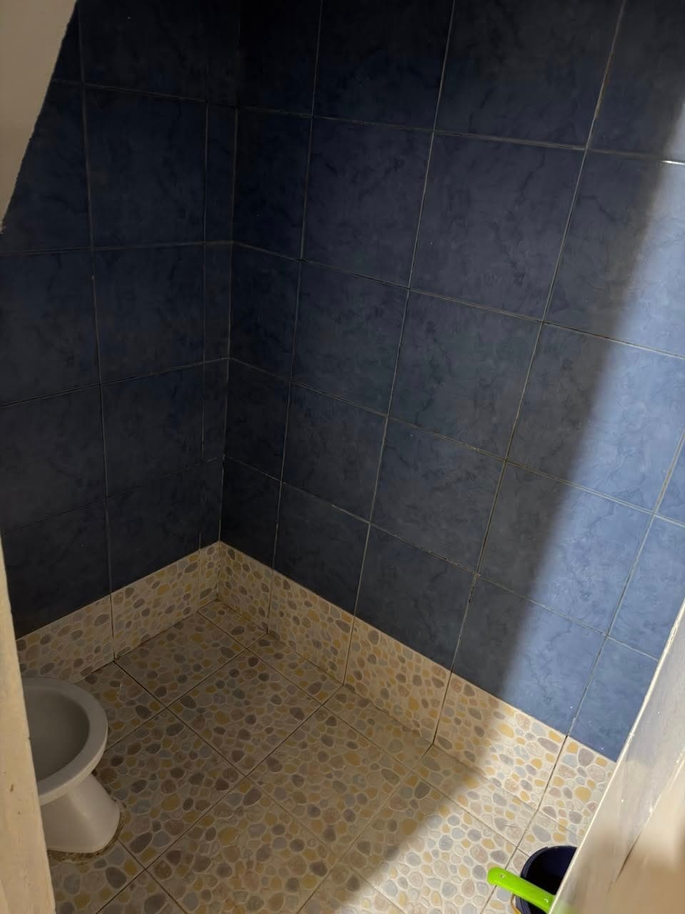 House for rent - photo 3