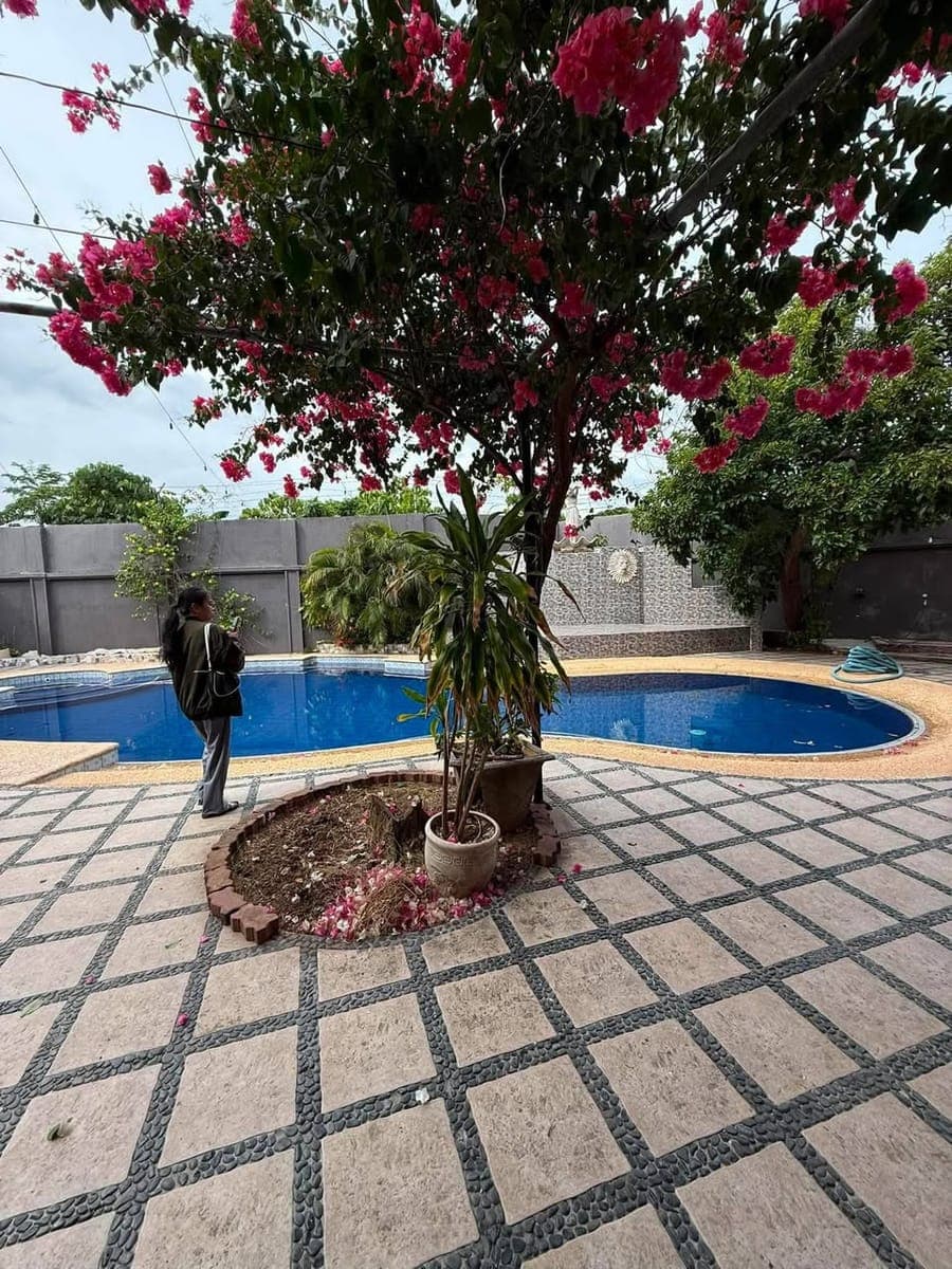 For rent /Sale - photo 2