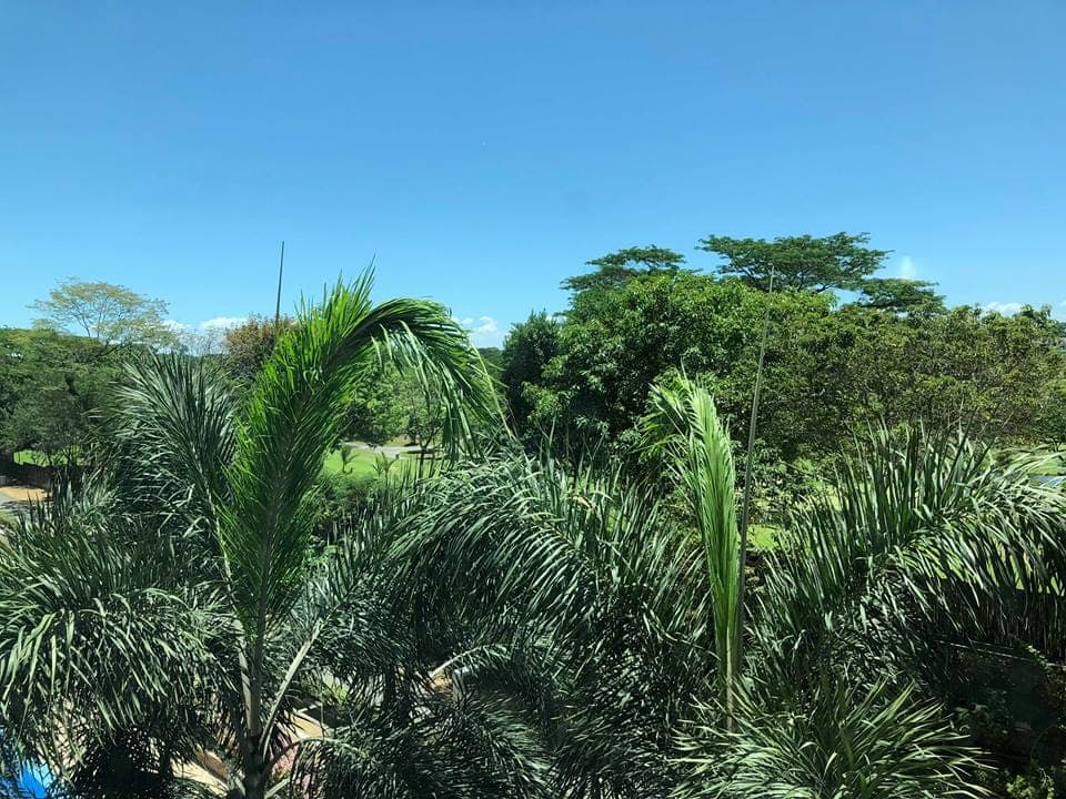 FOR LEASE: - photo 10