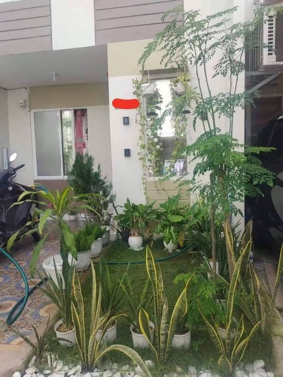 HOUSE FOR RENT❗️❗️❗️ - photo 2