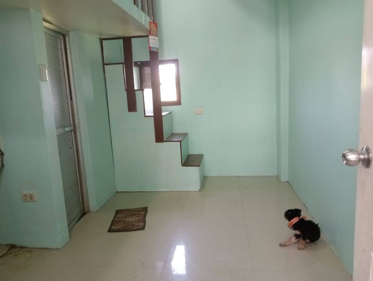 For rent with car parking - photo 1