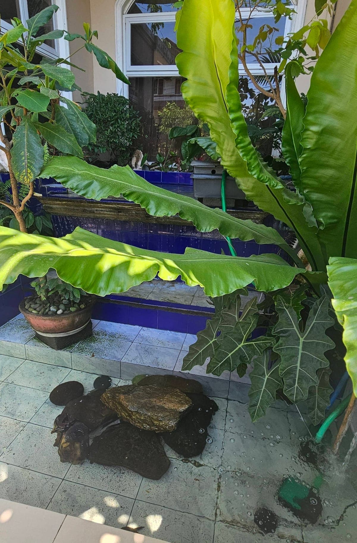 1BR FOR RENT IN AFPOVAI TAGUIG NEAR BGC - photo 3