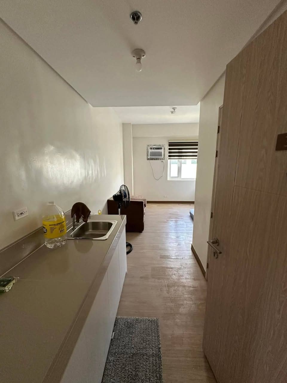 SMDC Rush Condo for Rent – Studio Unit - photo 4