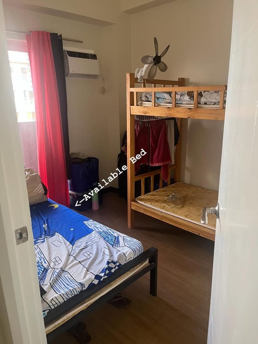Looking for female replacement! - photo 3