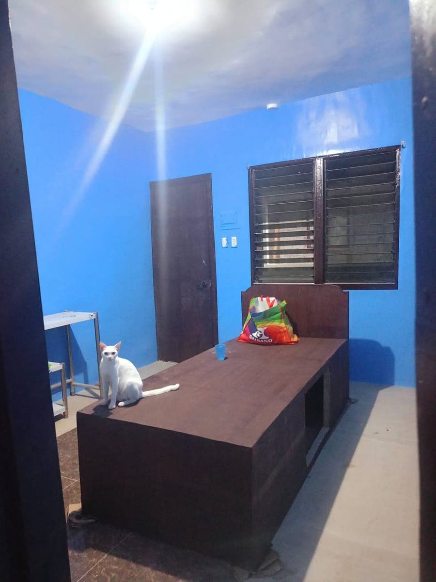 🏠 New Pad-Type Room for Rent - photo 5