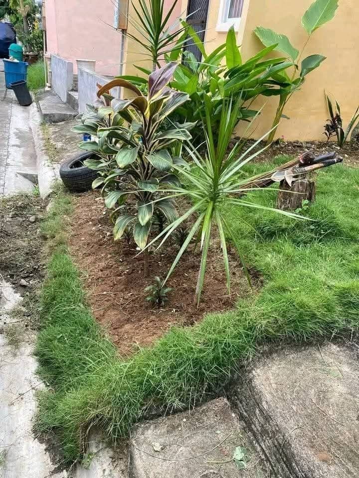 HOUSE FOR RENT‼️ - photo 1