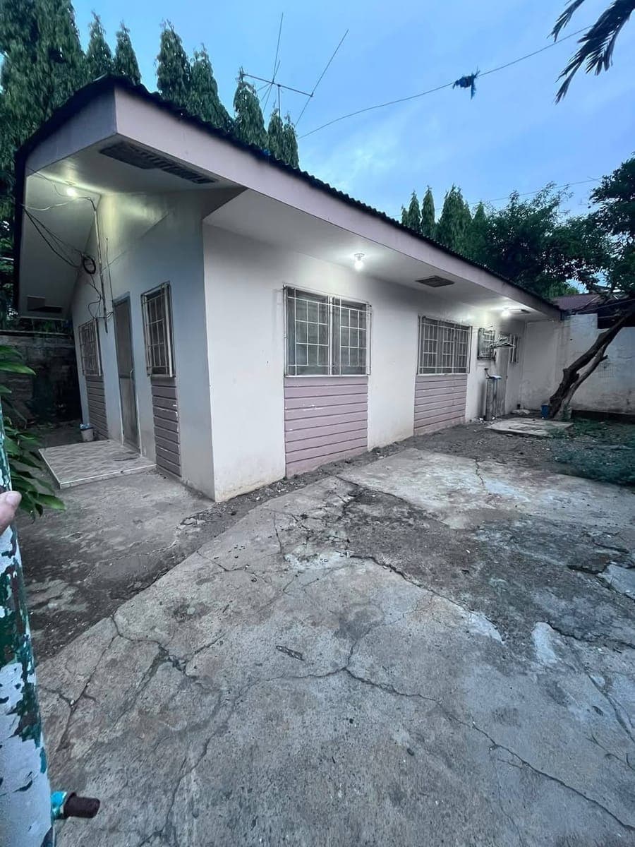 House for rent - photo 5
