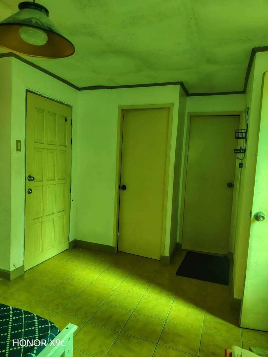 House for rent - photo 3