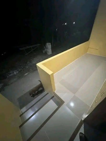 🍀Semi Furnish House for Rent at Sabang, Danao City - photo 2