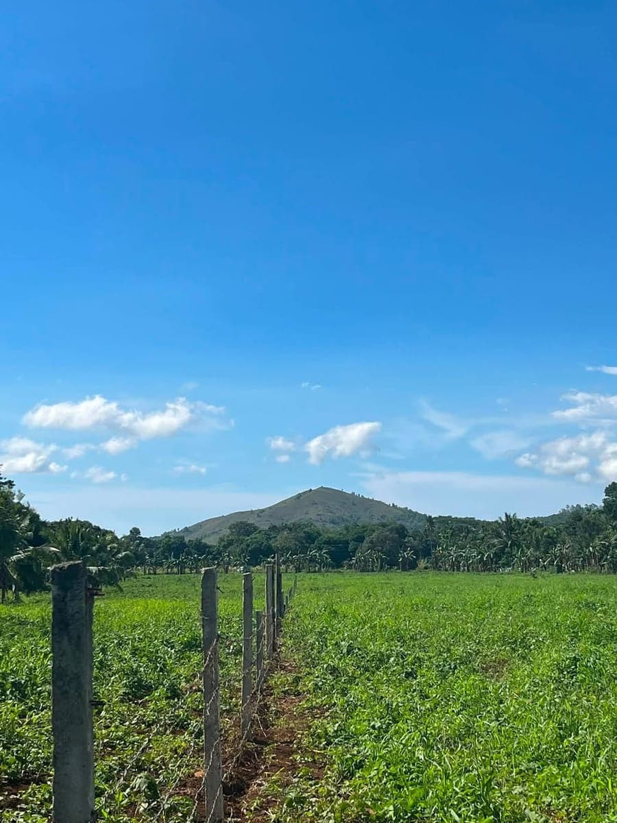 🏡 LOTE nga 40 meters lang gikan sa National Highway, duol sa CDO — starting at ONLY ₱5,277/month! 🔥 - photo 3