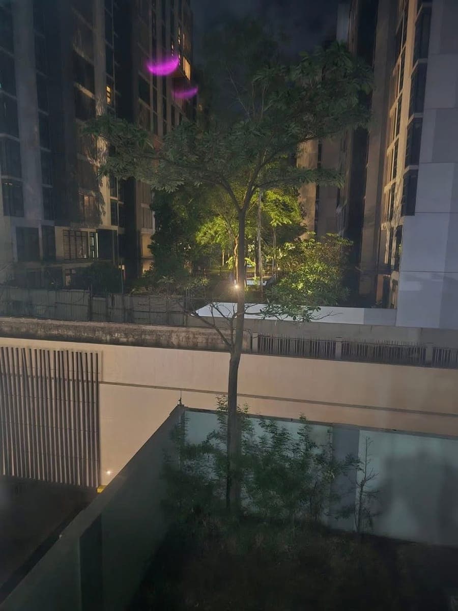 FOR RENT : THE VERANDA STUDIO UNIT - photo 5