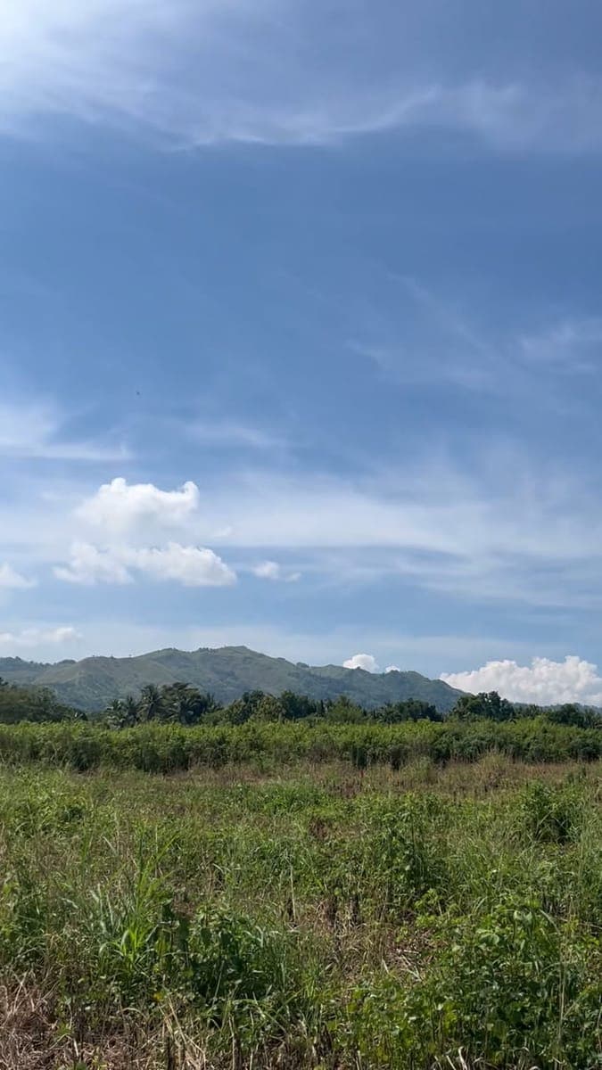 🏡 LOTE nga 40 meters lang gikan sa National Highway, duol sa CDO — starting at ONLY ₱5,277/month! 🔥 - photo 1