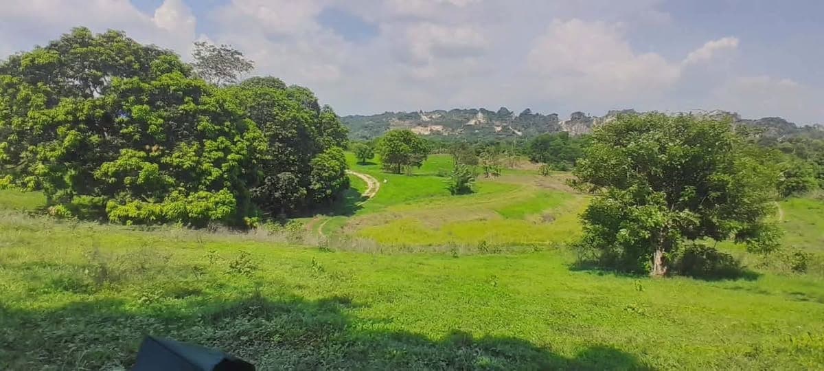35k dp - photo 1