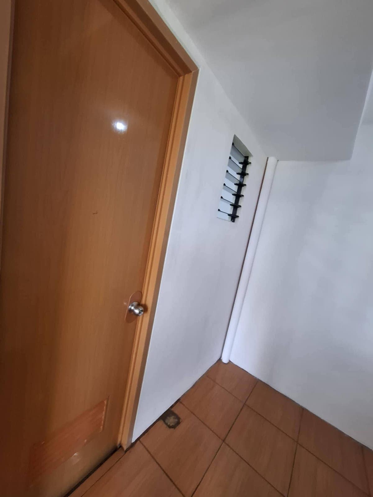 I am looking for a new tenant for newly renovated studio/loft type unit in Santa Isabel Subdvision O... - photo 2