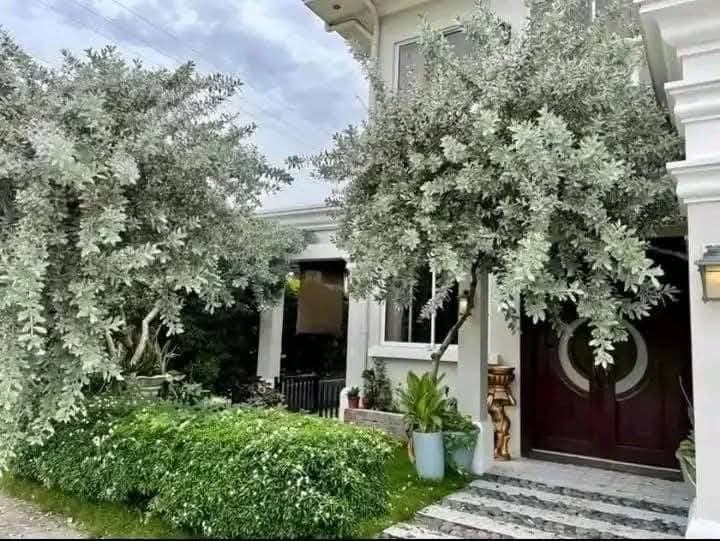 HOUSE FOR RENT IN MINGLANILLA - photo 5