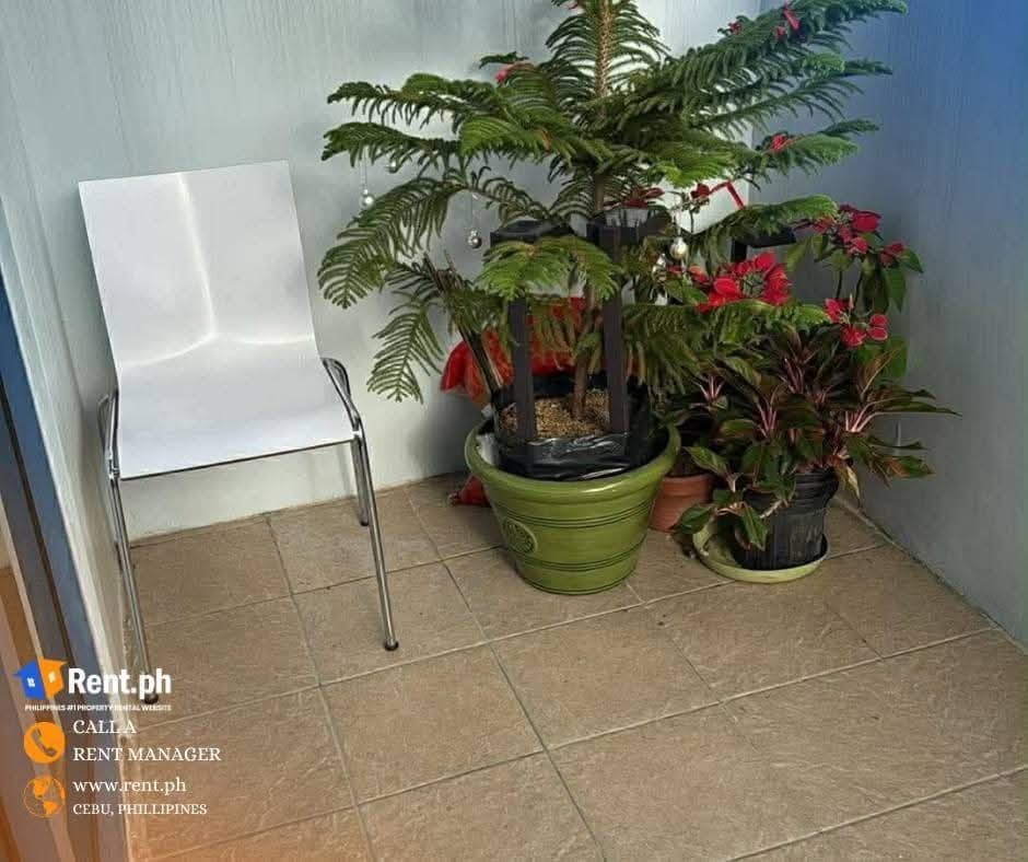 ‼️FOR RENT ‼️ - photo 4