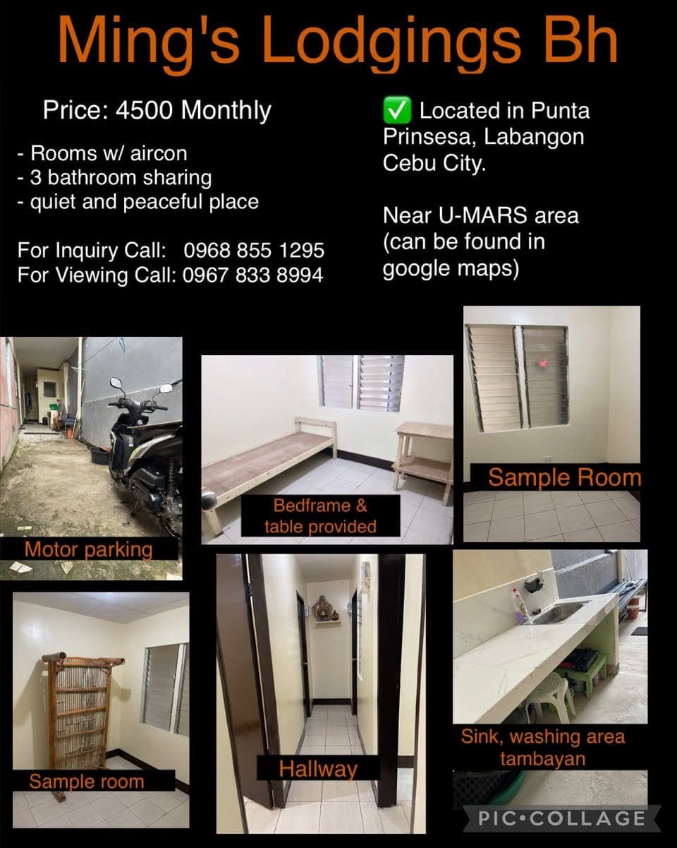 For Rent: ROOM & 1BR APT‼️ - photo 4