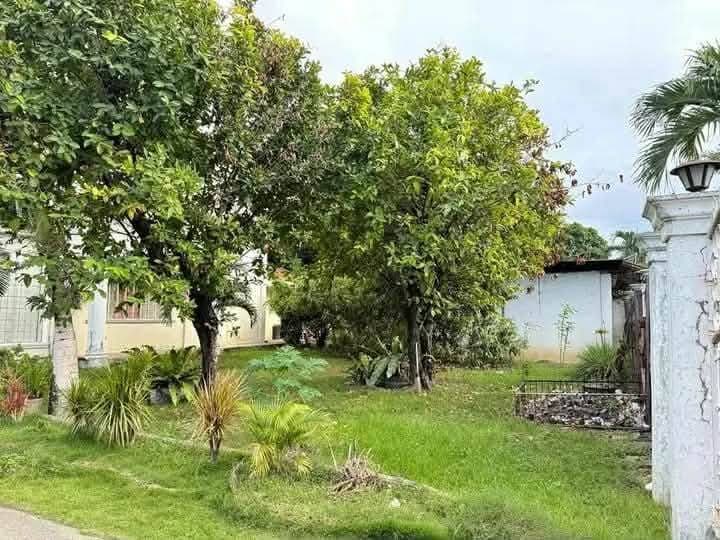 ❗️ HOUSE FOR RENT OR SELL - photo 8