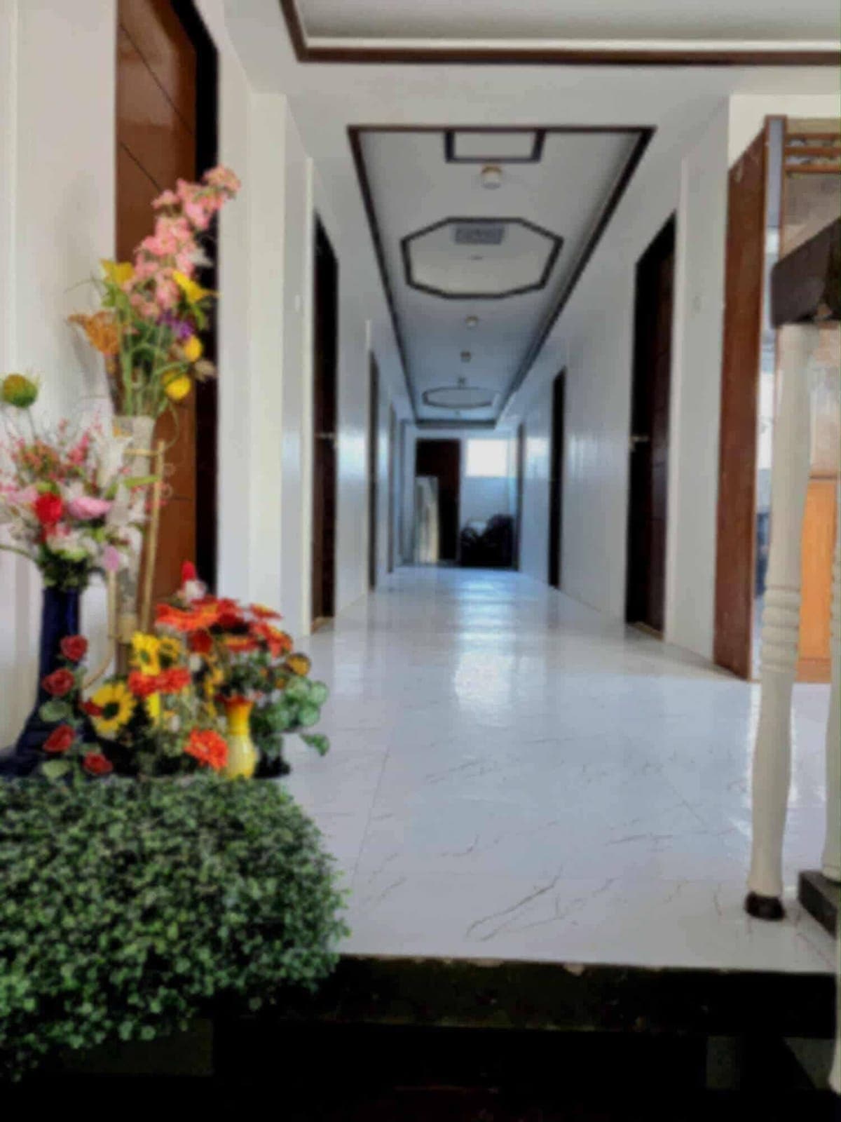 ROOM FOR  RENT 🌱 - photo 2