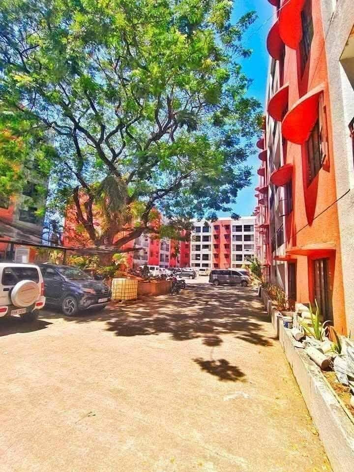 Eyes 👀 here 👇 - photo 16