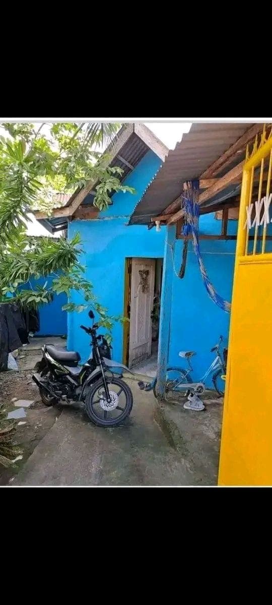 House for rent - photo 11