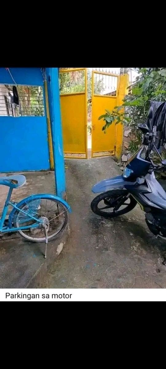 House for rent - photo 12