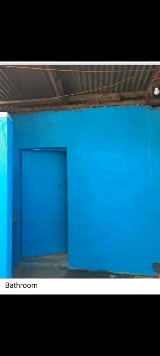 House for rent - photo 13