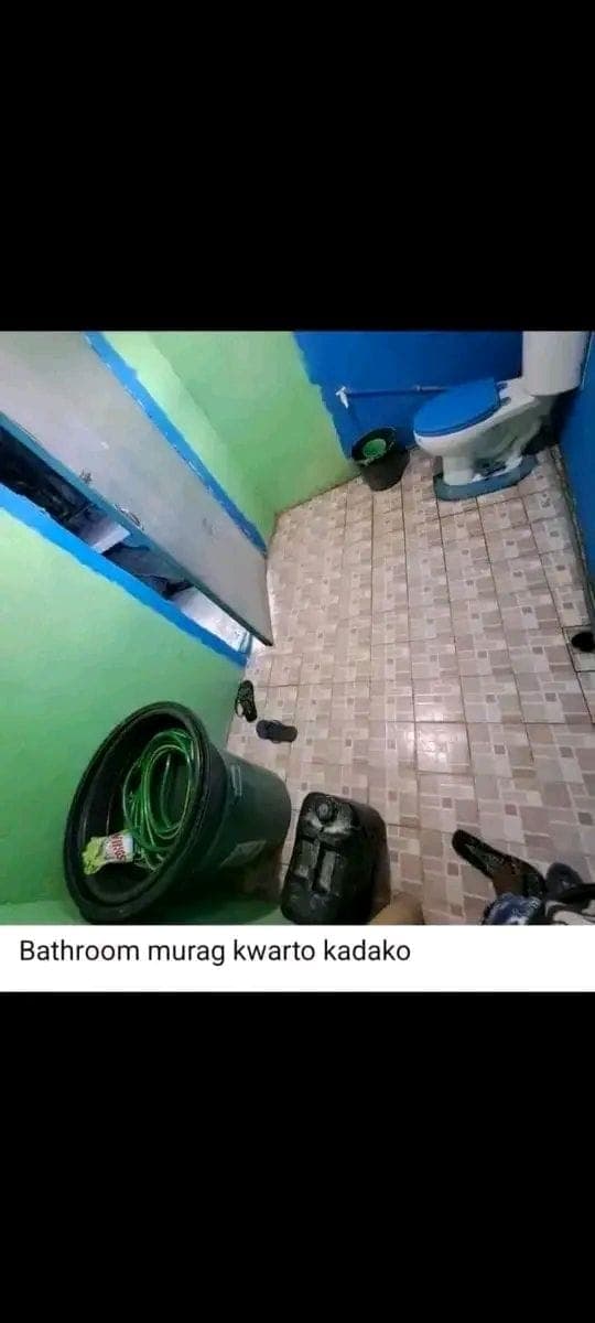 House for rent - photo 15